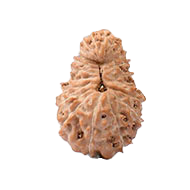 21-Augen-Rudraksha (Java) - Reichtum und Erfüllung materialistischer Wünsche